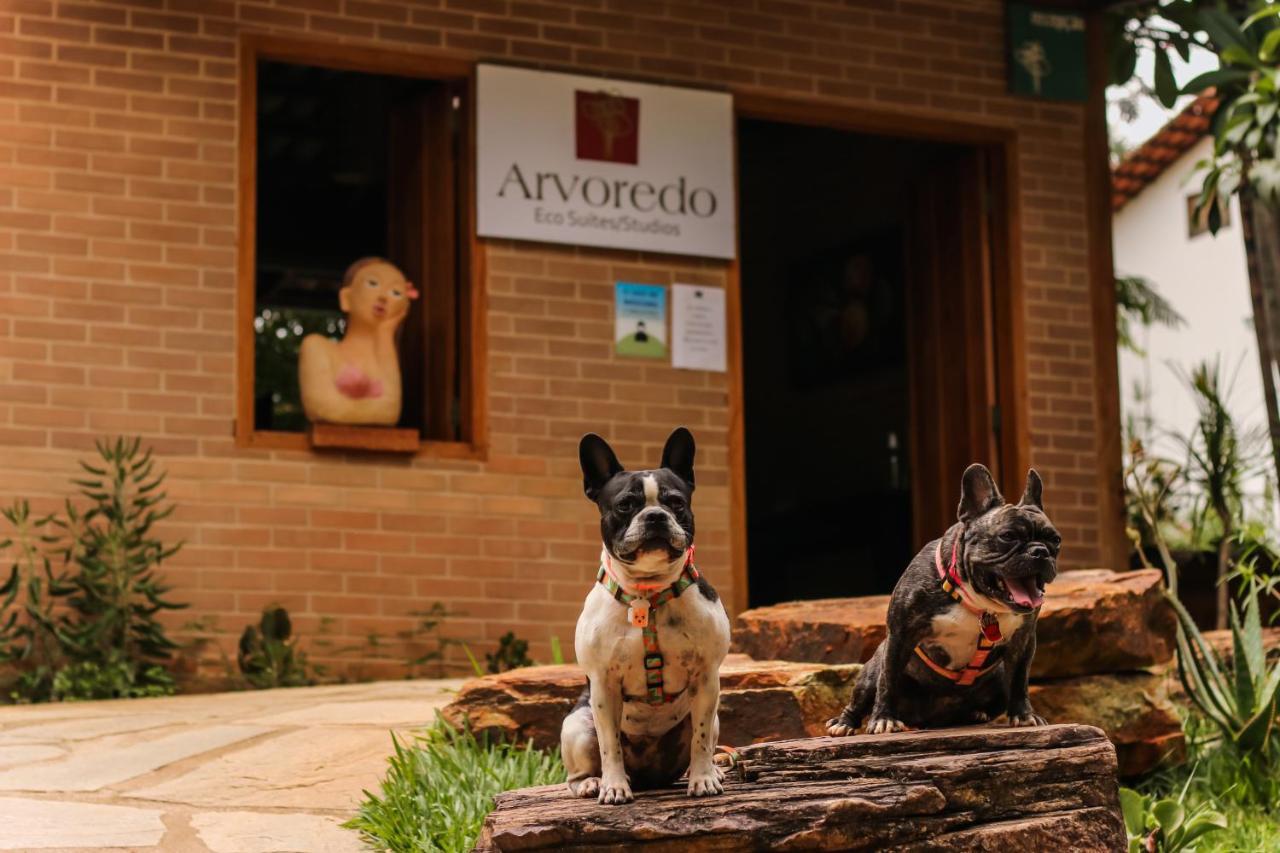 Pousada Arvoredo ปิเรนนอโปลิส ภายนอก รูปภาพ